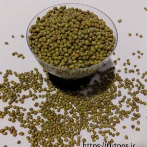 ماش سبز (خارجی) - فروش کیسه ای و عمده