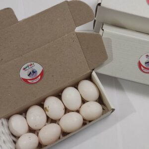 تخم کبوتر ( بسته ۸ تایی )